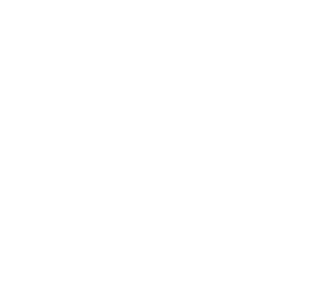 Logomarca secundária da Araticum