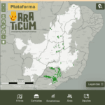 Plataforma Araticum - LAPIG