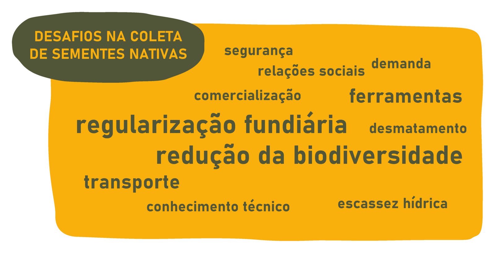 Desafios na coleta de sementes nativas