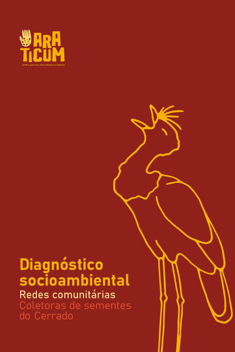 Capa Diagnóstivo socioambiental das redes comunitárias coletoras de sementes do Cerrado