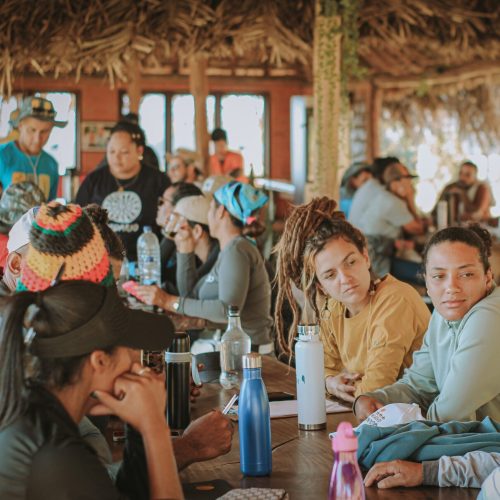 Tecendo Redes e Restaurando Cerrado e Sementes do Cerrado (jun/2025), Aldeia Multiétnica, Alto Paraíso de Goiás (GO).