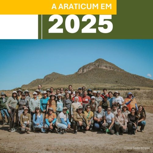 Araticum em 2025 site