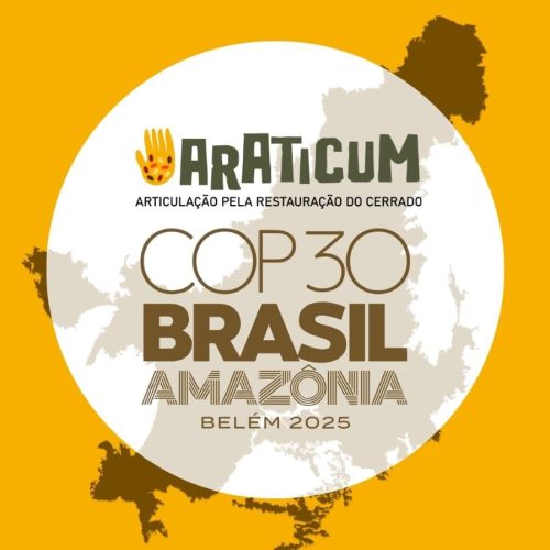 Araticum na COP30 IN