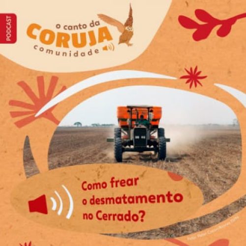 Canto da Coruja 2024-08-08 thumb Canto da Coruja 2024-08-08 thumb