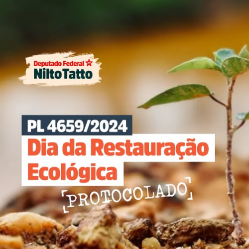 Captura de tela 2024-12-04 172532