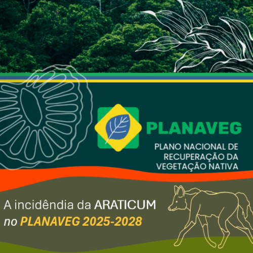 Captura de tela 2024-12-15 112931