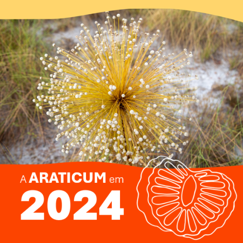 Captura de tela 2025-01-29 155434