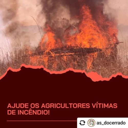Incendios 20240917 1