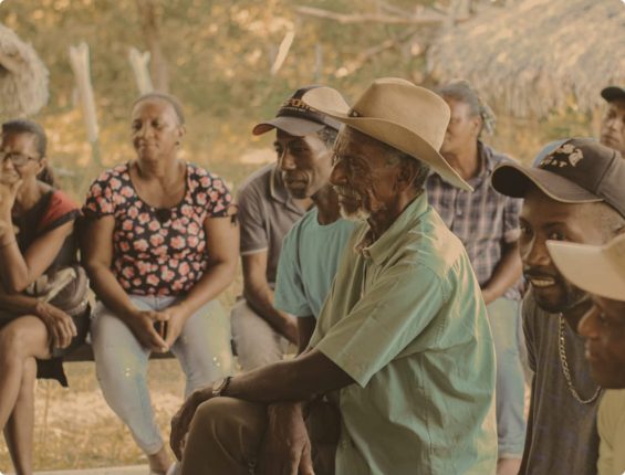 Raunião - PIQPCTAFs