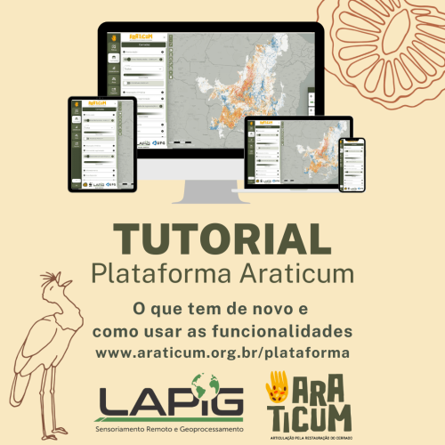Tutorial Plataforma Araticum Tutorial Plataforma Araticum
